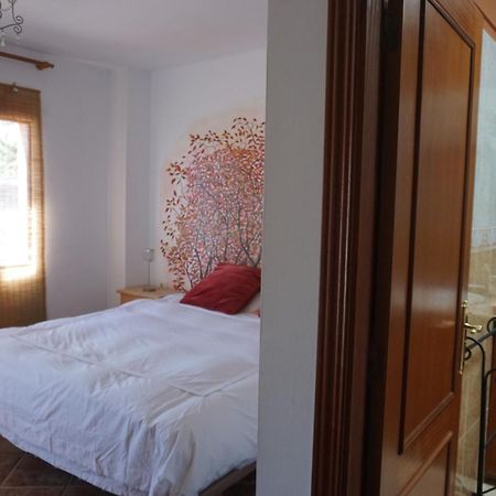 Casa Colores Tenerife Guesthouse Candelaria Zewnętrze zdjęcie