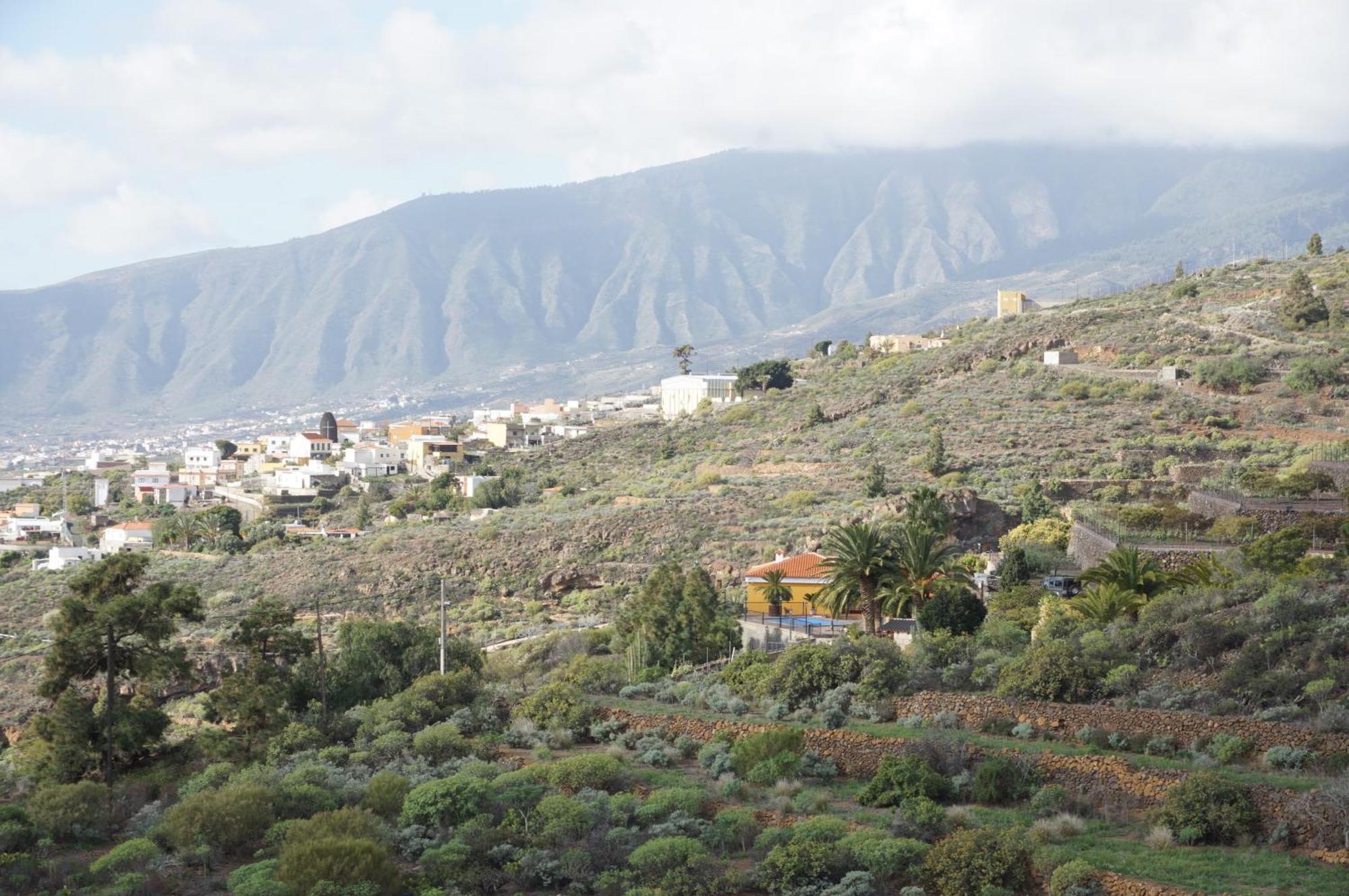 Casa Colores Tenerife Guesthouse Candelaria Zewnętrze zdjęcie